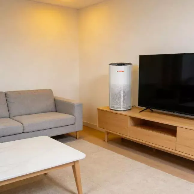 Indoor 3 in 1 Air Purifier with Sleep Mode